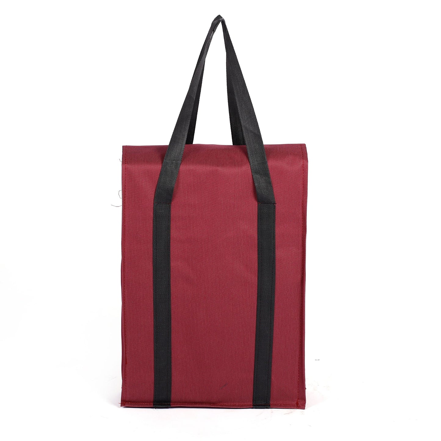 File organizer bag for lawyers and offices